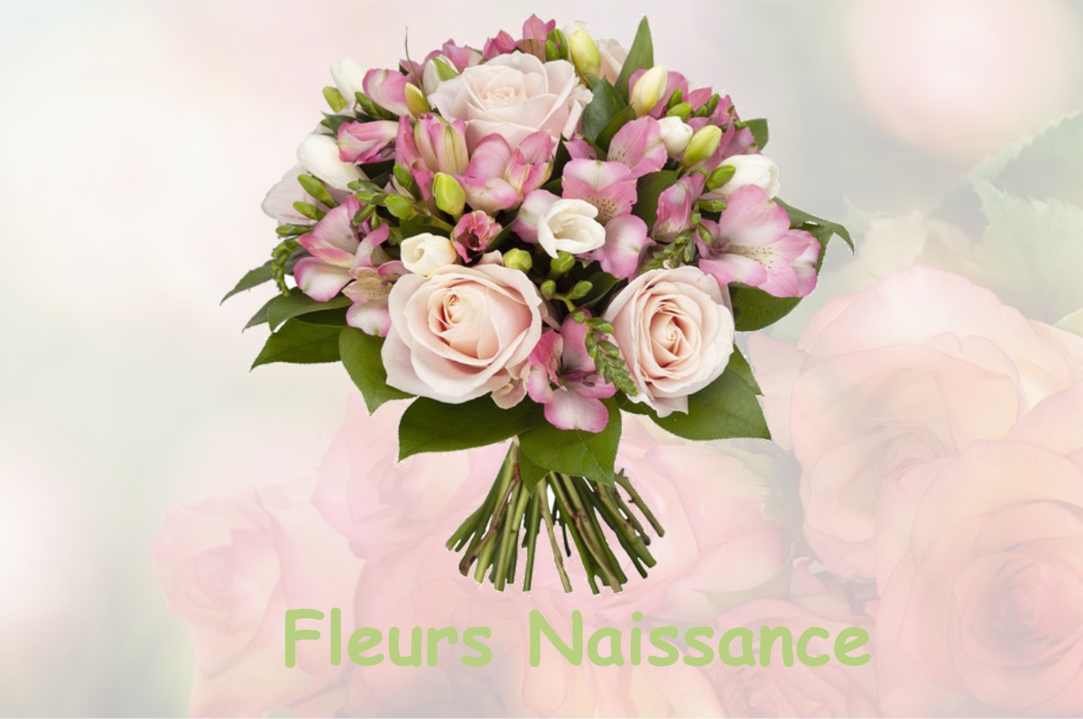 fleurs naissance BEAUMONT-HAGUE